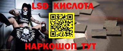 прущие грибы Дубна