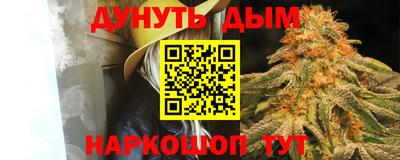 стаф Донской