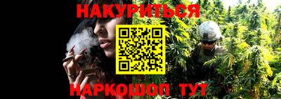 гашик Донецк