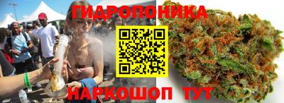 гашик Донецк