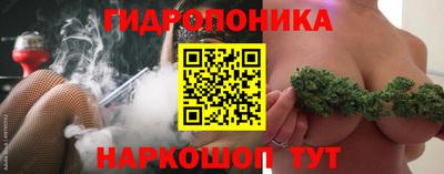 гашик Донецк