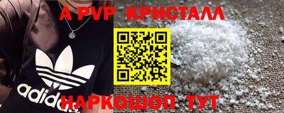 стаф Донской