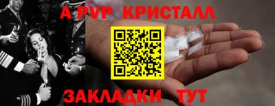 стаф Донской