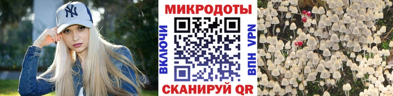 Псилоцибиновые грибы GOLDEN TEACHER  Курчалой 