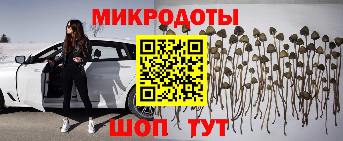 Галлюциногенные грибы Cubensis  Вход с VPN  Галлюциногенные грибы Psilocybine cubensis  Курчалой 
