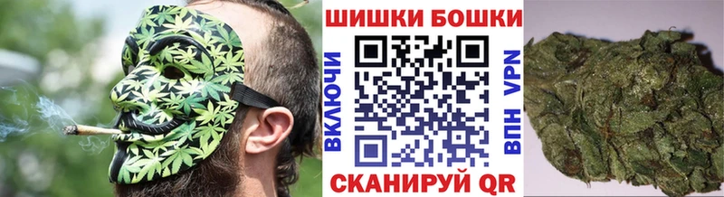 цена   Курчалой  Конопля гибрид 