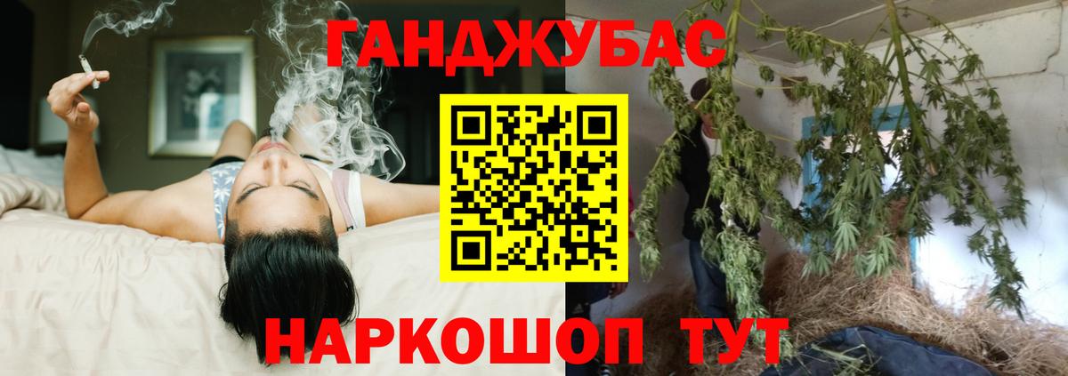 Курчалой  Марихуана White Widow  Бошки марихуана LSD WEED  Бошки марихуана план  Вход с VPN 